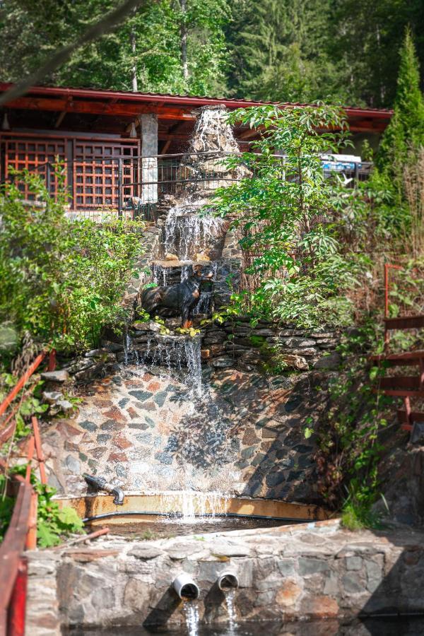 Piscul Negru Hotel - Transfagarasan Cumpăna Exterior foto