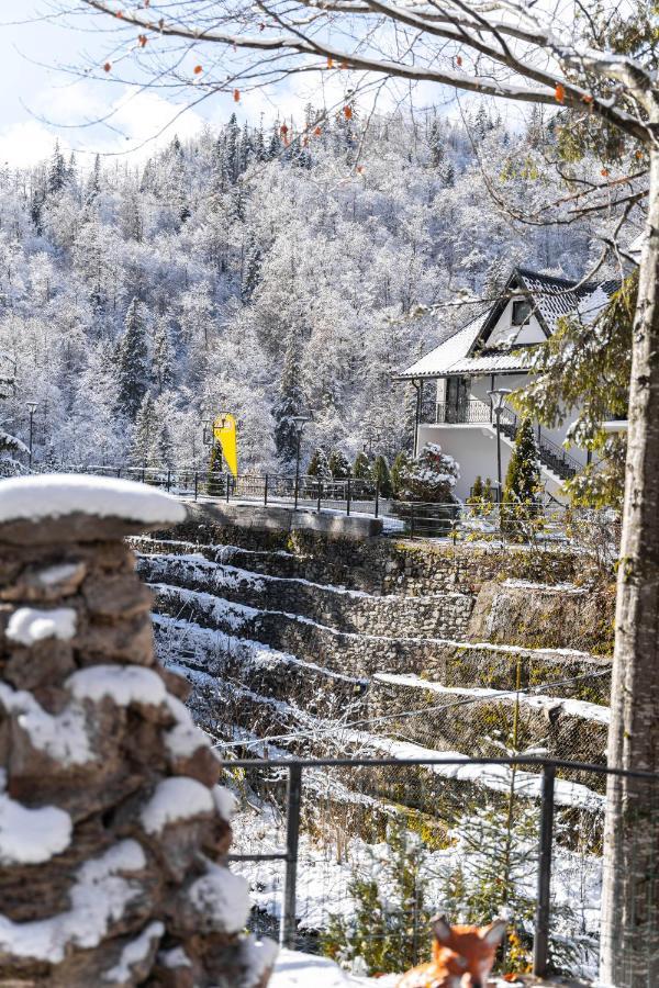 Piscul Negru Hotel - Transfagarasan Cumpăna Exterior foto