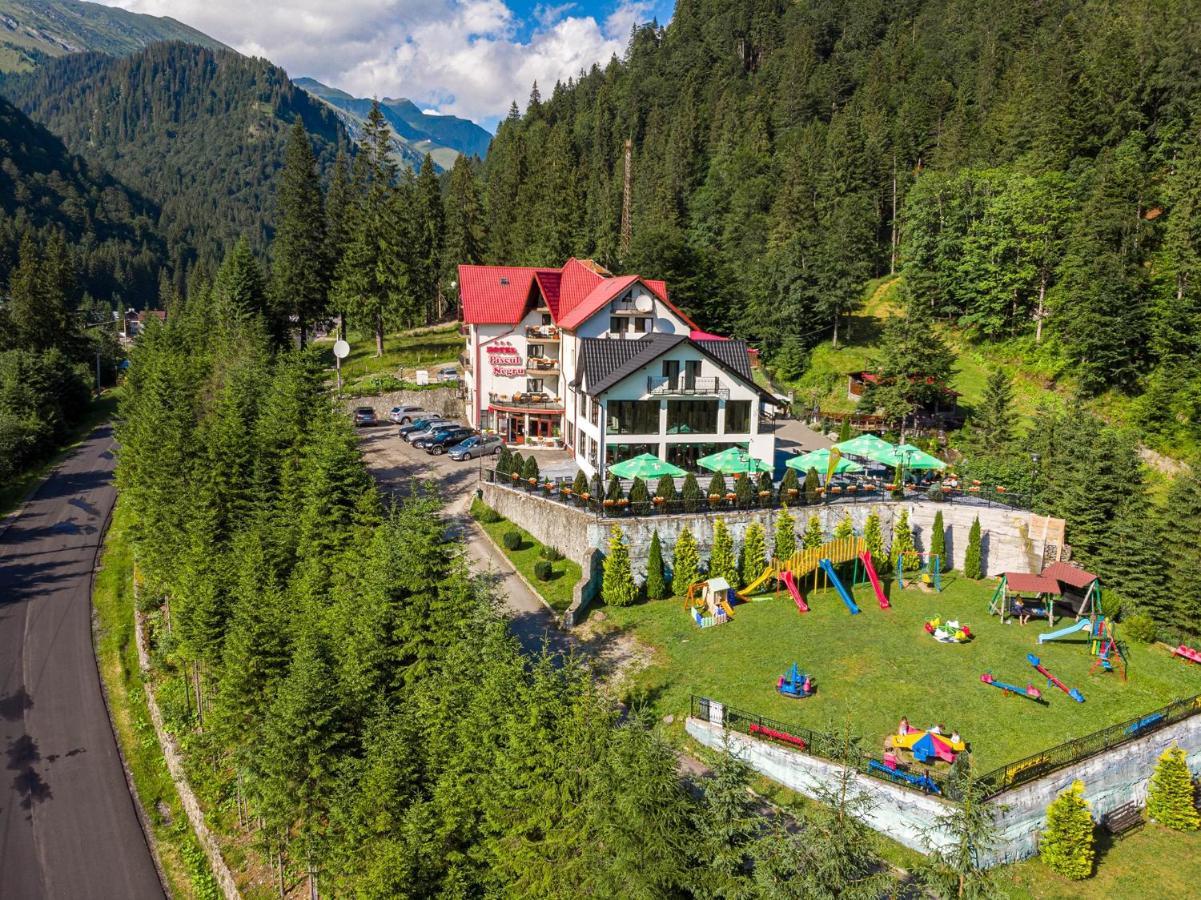 Piscul Negru Hotel - Transfagarasan Cumpăna Exterior foto