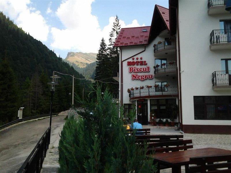 Piscul Negru Hotel - Transfagarasan Cumpăna Exterior foto